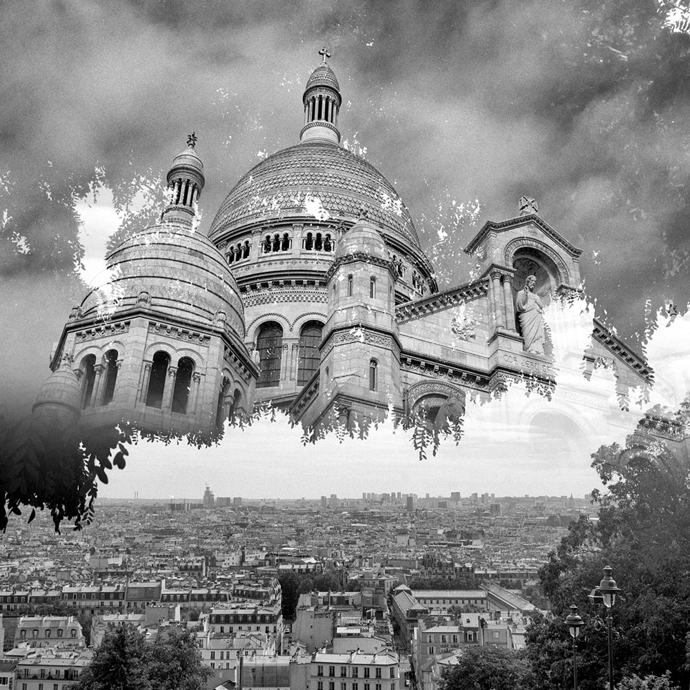 Sacré Coeur feuilles